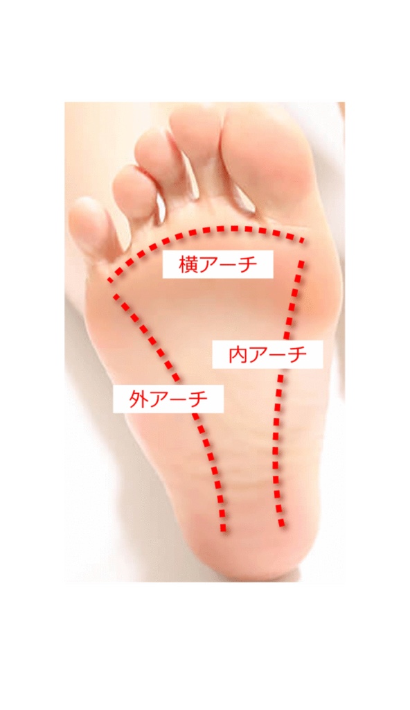 足のアーチ構造